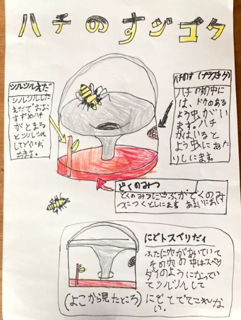 ハチのすジゴク解説資料